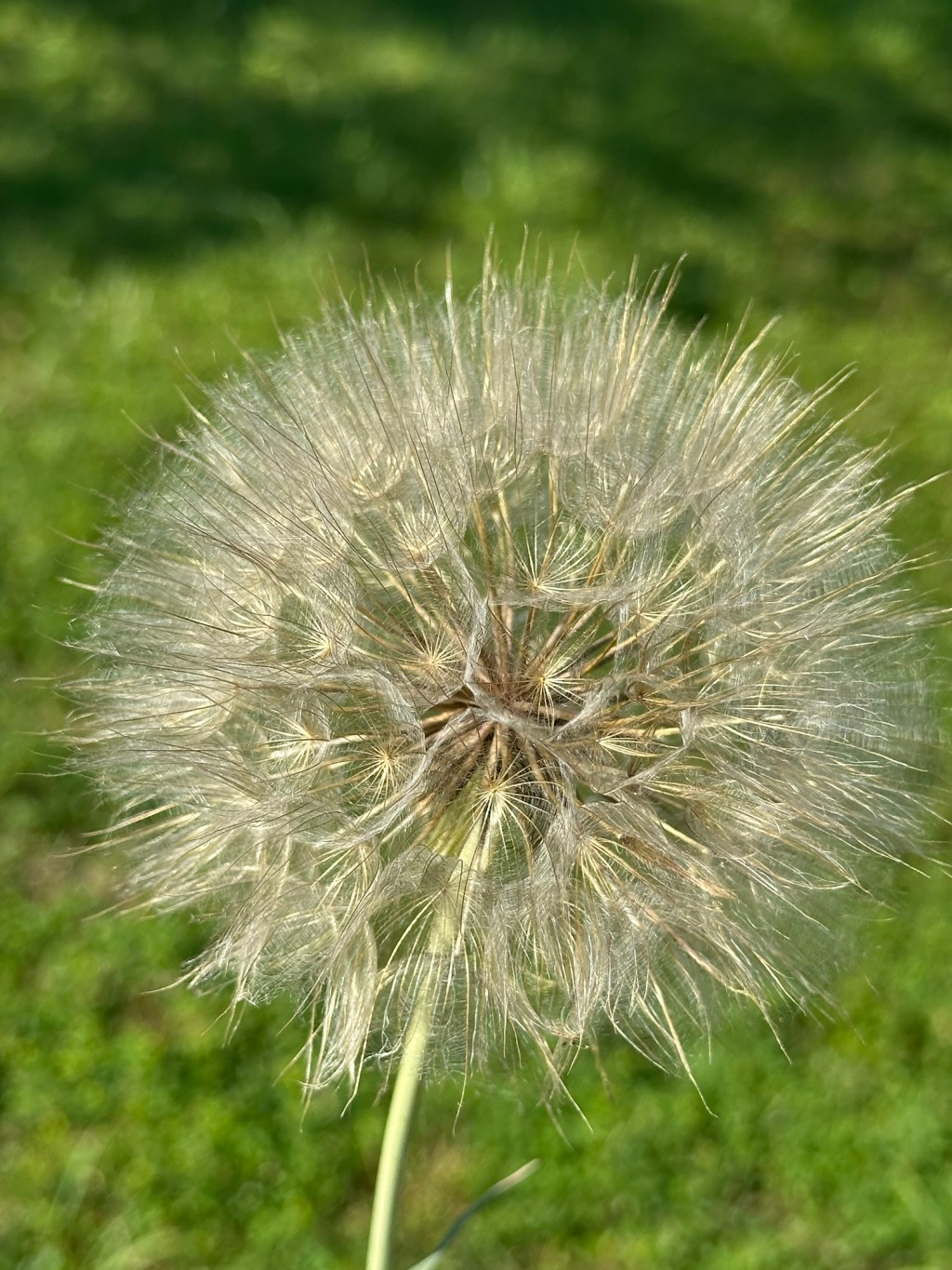 The seeds of an idea--with so much more to come.